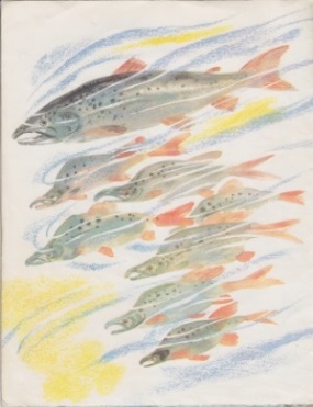Нажмите для увеличения. Чарушин, Е. И. Медведь-рыбак. Фото книги из фонда библиотеки 