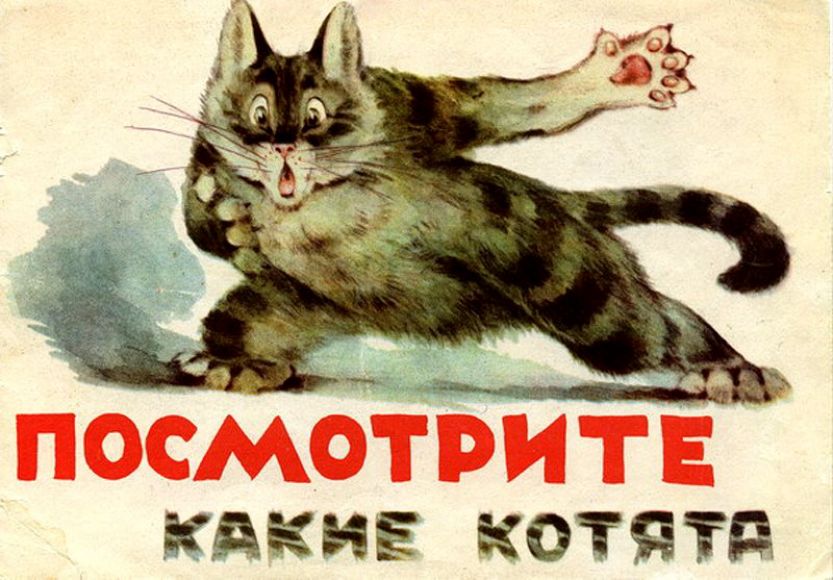 Нажмите для увеличения. Посмотрите, какие котята, книга 1965 г. Фото с сайта http://www.barius.ru/biblioteka/book/1613
