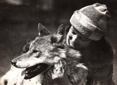 Нажмите для увеличения. Фотография Веры Чаплиной с Арго, сделанная в 1927 году С. А. Красинским, из брошюры «Звери в неволе»https://vchaplina-arhiv.livejournal.com/92976.html