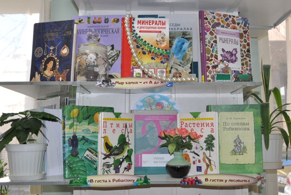Книжная выставка «Экологическая азбука от «А» до «Я» (фото из архива библиотеки)